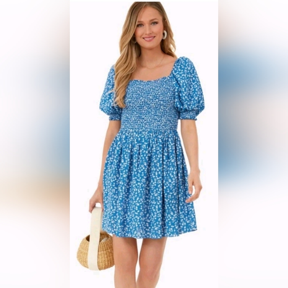 Tucknernuck HYACINTH HOUSE Blue Ditsy Floral Pai Smocked Dress Sz MEDIUM